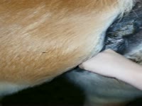 My GF fingers our Mare